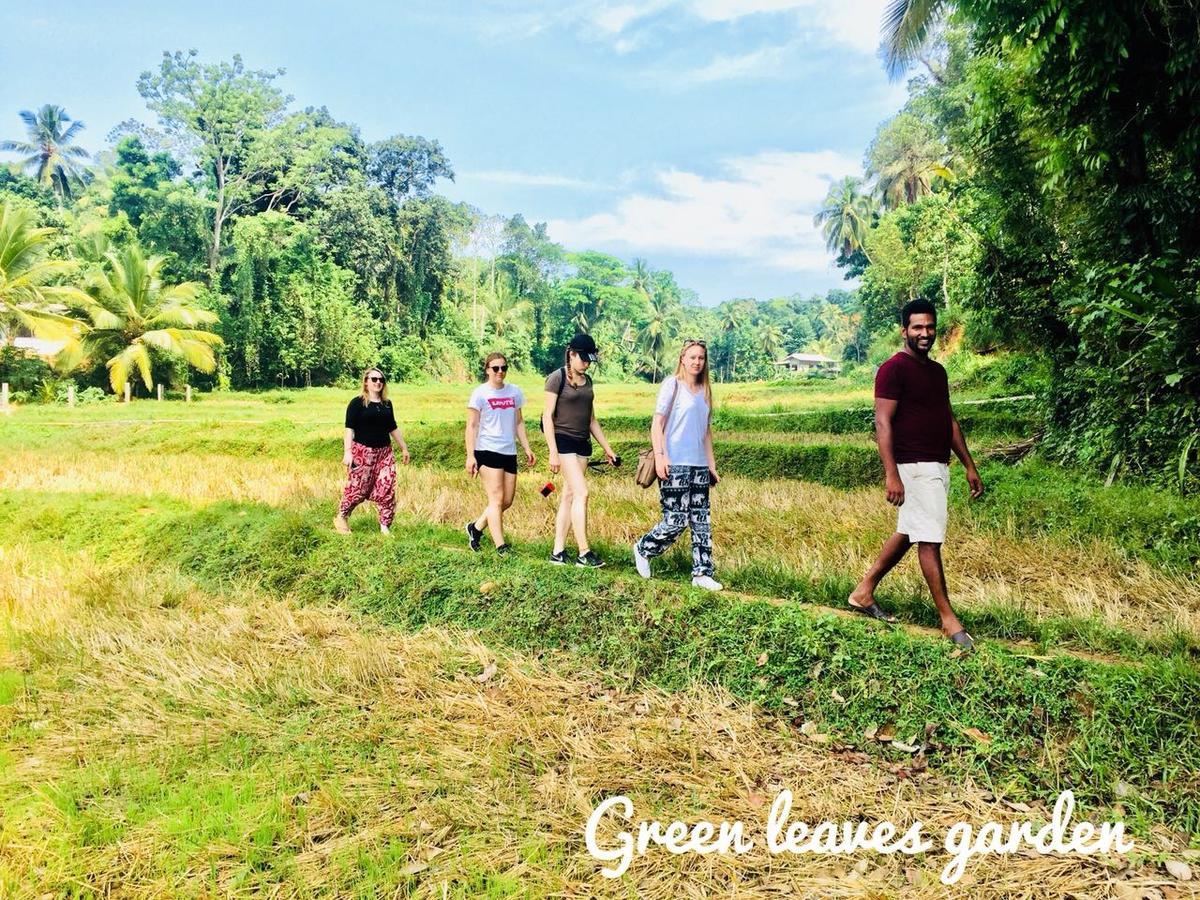 Green Leaves Garden - Pinnawala Pinnawala  Zewnętrze zdjęcie