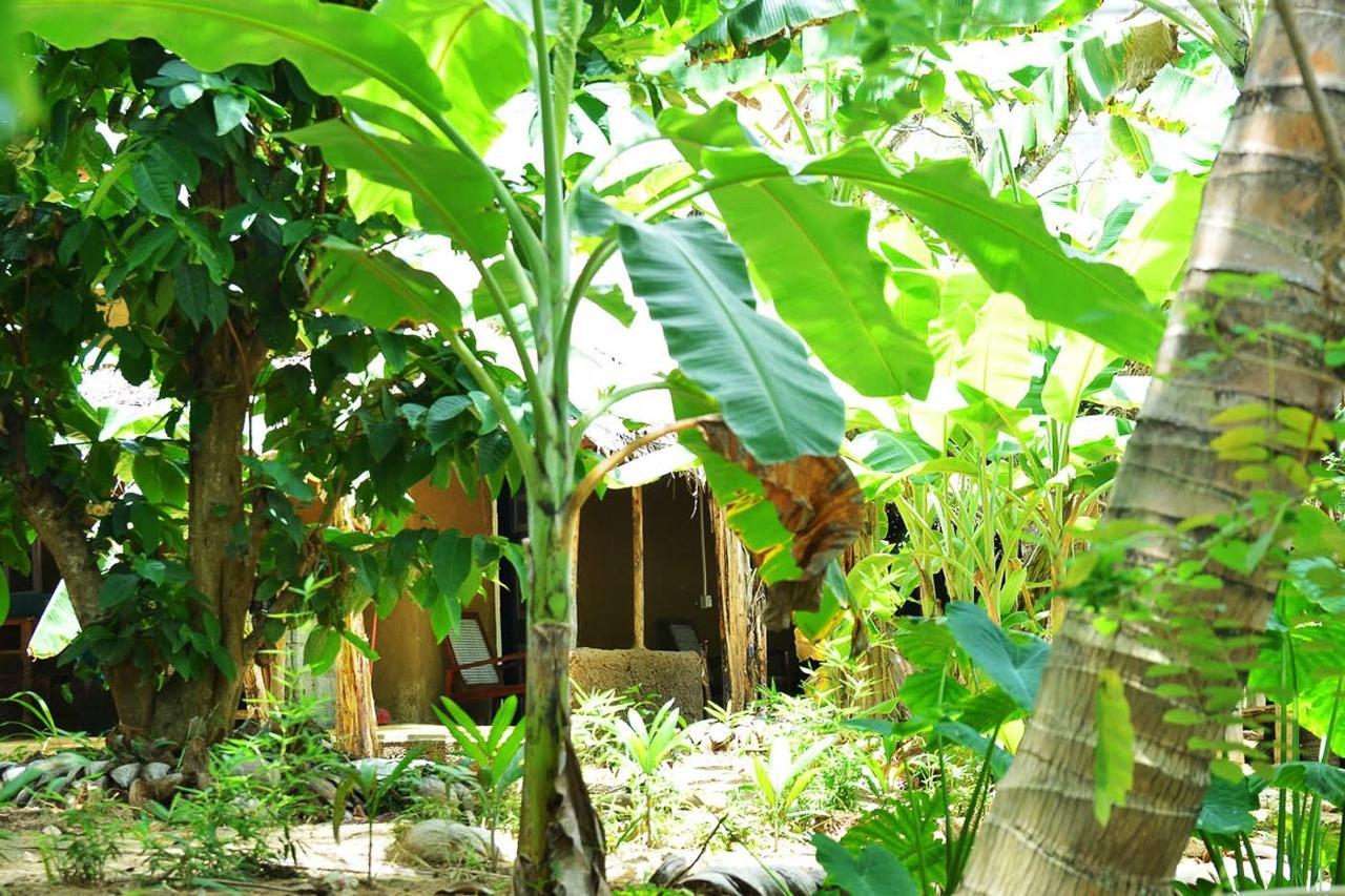 Green Leaves Garden - Pinnawala Pinnawala  Zewnętrze zdjęcie